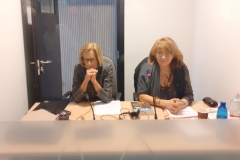 Verčiant žiaurių detektyvų švelnų švedų rašytoją, kartais būna linksma – Kristina Kačkuvienė ir Auksė Kuokštienė vertimo kabinoje